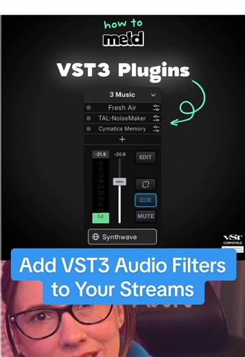 Streamers use VST3 filters to make your stream audio perfect!