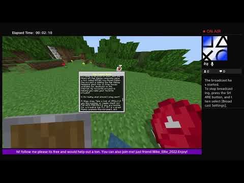 Just some Minecraft.