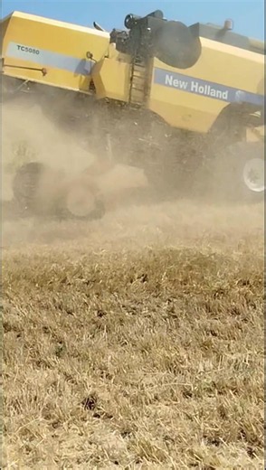 New Holland TC 5060 Combine Harvester in Action | Lorenzo Agostini