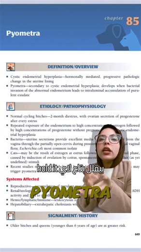 Dr Paws Hospital on Instagram: "🐾 Stepwise Approach to Pyometra in Cats (Clinical Guide) 1. History & Clinical Signs • Signalment: Usually older, intact queens, but can occur as young as 9–10 months IVIS. • Risk factors: Repeated estrus cycles, cystic endometrial hyperplasia, progesterone influence. • Clinical signs:• Open pyometra: Vulvar discharge (purulent, bloody), polyuria/polydipsia, anorexia. • Closed pyometra: No discharge, but severe systemic illness—vomiting, lethargy, abdominal diste
