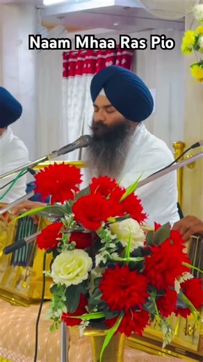 Experience Peace: Naam Mhaa Ras Pio 🕊️ #shabad #shortsfeed