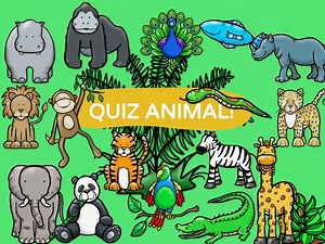 Quiz Animal!