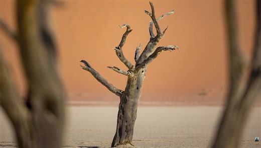 Landscape Photography at an Extreme Focal Length