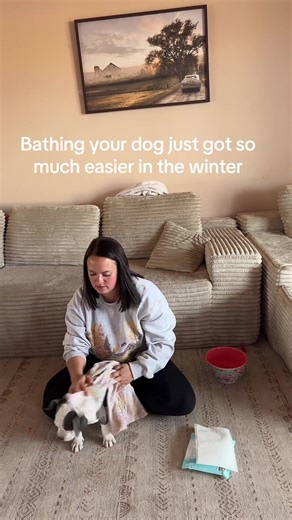 Winter Dog Bathing Made Easy with Rinse Free Shampoo Mittens