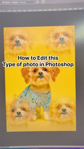 How to use clone stamp tool in photoshop #youtubeshorts #shortsvideo #photoshoptutorial