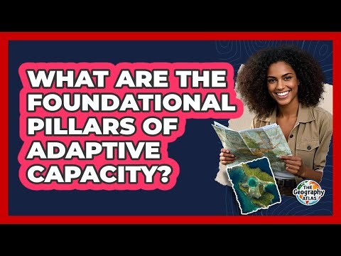 What Are the Foundational Pillars of Adaptive Capacity?