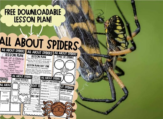 The Wonderful World of Spiders: A 5-Day Lesson Plan for Young Learners