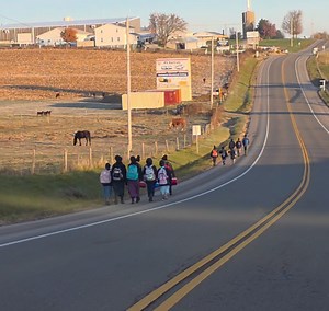 367K views · 7.6K reactions | Amish scholars walking to their school on this beautiful morning near Berlin Ohio. | Ohio Amish Country | Facebook
