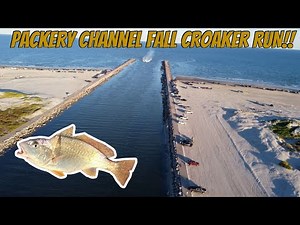 Fall Fishing Packery Channel | Corpus Christi | CROAKER RUN | FISHBITES FISH’N STRIPS SHRIMP
