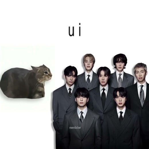 BTS - HOOLIGAN, but it's Oiiai Cat Remix (uiiai) #mashup #remix #oiiacat #bts #hooligan #arirang