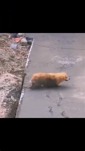 656K views · 588 reactions | #civilengineeringdiscoveries | Civil Engineering | Facebook