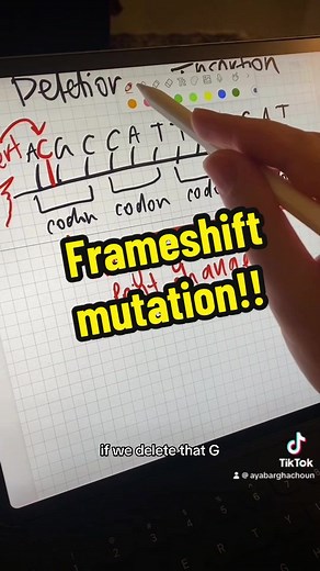 Understanding Frameshift Mutations in DNA