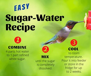420 reactions · 392 shares | Use this recipe when making sugar water for hummingbirds! MORE: https://trib.al/mTwAbwl | Birds & Blooms Magazine | Facebook