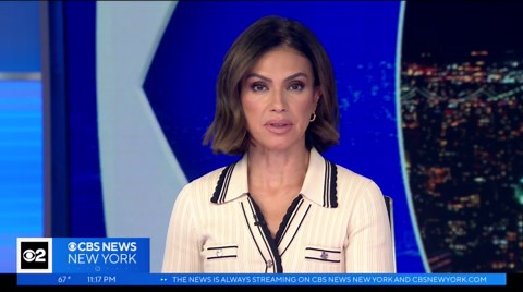 Beloved Brooklyn bodega cat Snowy dies, owner says