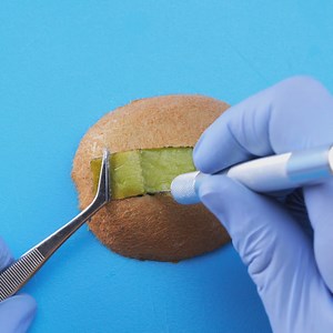 Medical techniques and surgeries on everyday objects | 5-Minute Crafts Like