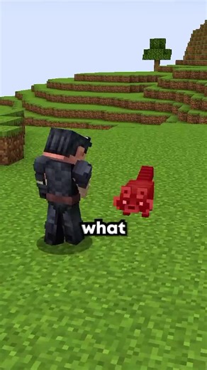 ‏What if Minecraft had rabies #minecraft