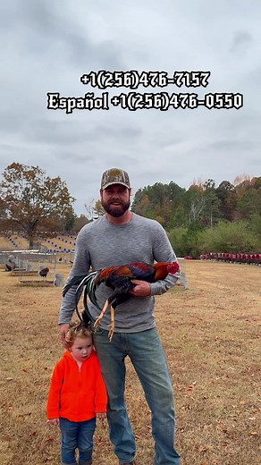 Sweater Stag | Boneyard farm