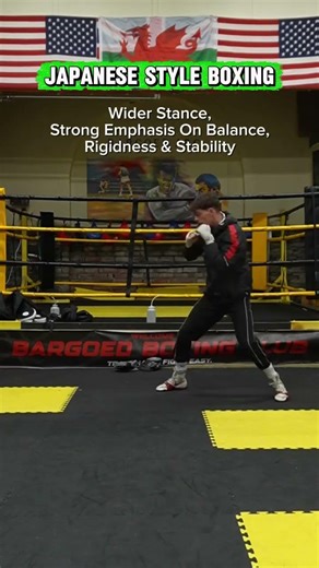 Boxing Styles Explained: Soviet vs Japanese Boxing Tutorial for Better Fight IQ 🥊