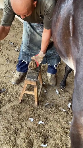 Hoof Care on Reels