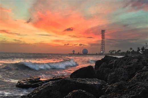 Free West: 11 Free Things to Do in Key West, Florida | The Saturday Evening Post