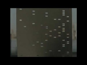 James Burke "Connections" (1978) Twin Towers 9/11 Prophecy