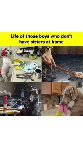 chitchat memes ‪@chitchat-102‬ ‪@Riddhi_2022‬ ‪@UMNIVIBE‬ ‪@dictionary_of_righteousness‬
