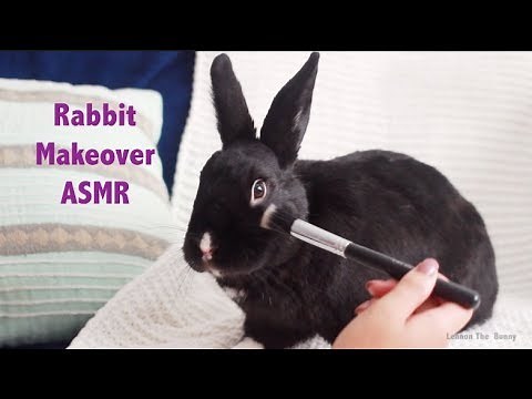 Rabbit Gets a Makeover | ASMR / RELAXING