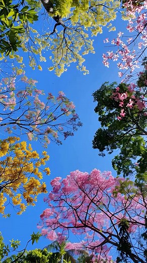 9.4K views · 362 reactions | ✨ | Lovecore | Facebook