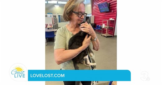 Lost Now Found on Coast Live