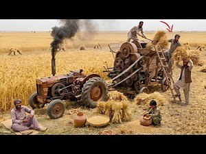 ​Al Ghazi Tractor Extreme Power on Mustard Thrasher Machine | Old Harvesting Technique | 4K Ultra HD