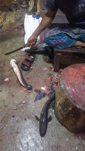 This Is How Snakehead Fish Is Prepared Daily 🐟🔥 #Snakehead #Seafood