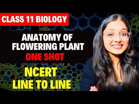Anatomy of flowering Plants One Shot | Class 11 Biology Chapter 6 | NEET 2025 | Ekta Soni