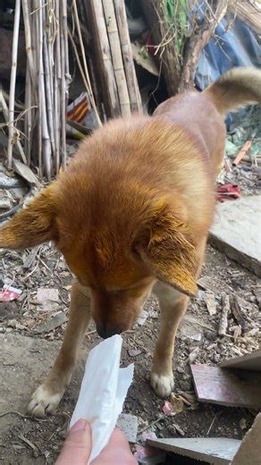 Discover the Secret to Flawless Skin! DIY Mask Hacks Unveiled