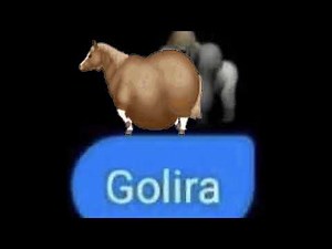 Full Stop Punctuation