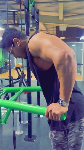 Parallel Bar Dips #bodybuilding #workout #parallelbardips
