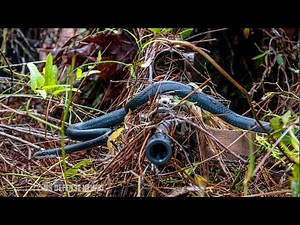 Here's What U.S. Snipers Say They Have to Think About Before They Pull the Trigger