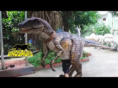 Realistic Dinosaur Costume Velociraptor