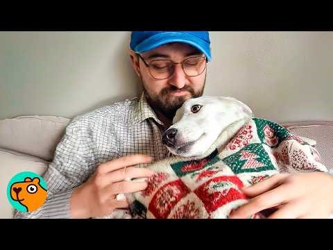 Deaf Rescue Dog Understands Dad Without A Single Word | Cuddle Buddies