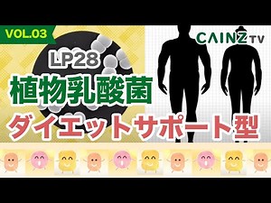 【植物乳酸菌Vol.3】ダイエットサポート型乳酸菌「LP28」