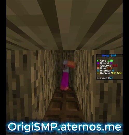 OrigiSMP.aternos.me #origismp #origitr ‪@BerkaySo2‬ ‪@Tetris_pro‬