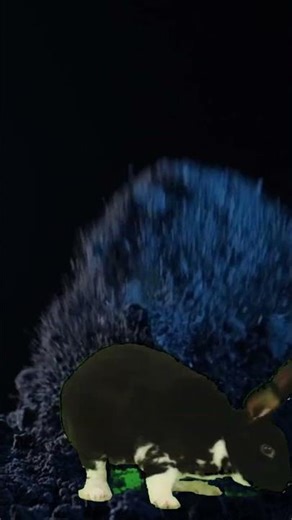 Male Scream in fear - NO Copyright - Free Sound Effects #copyrightfreemusic #male #scream #fear