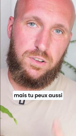 FLAMME AUSTRALIENNE : Une plante aux explosions de couleurs !