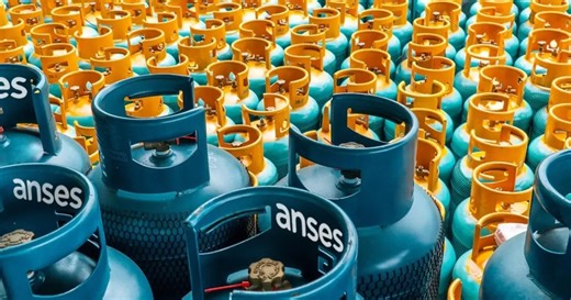 Programa Hogar 2025: cómo saber si lo cobro en febrero