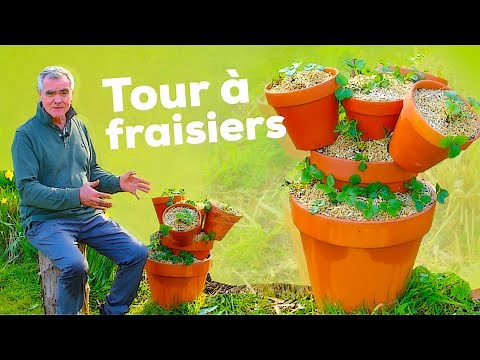 La tour à fraisiers : des kilos de fraises sur une toute petite surface ! Tutoriel étape par étape