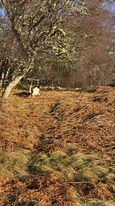 29K views · 3.7K reactions | Day 6 | Max Out in the Lake District | Facebook