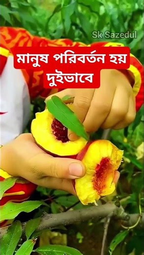মানুষ পরিবর্তন হয় দুইভাবে #islamicshorts #shorts #short_waz #mango