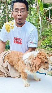 42K views · 1.4K reactions | TUTA TRAINING: Triggered ba sa tubig, towel, at blow dryer ang tuta mo? Wag nang palalain. Panoorin mo ito | The Pinoy Dog Whisperer | Facebook