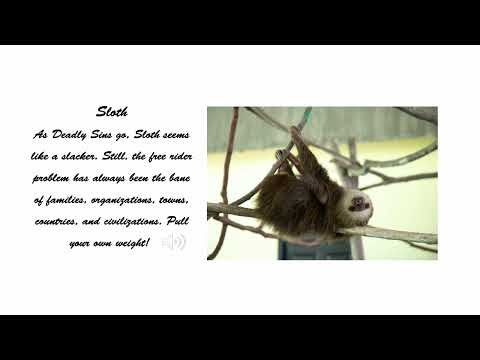 Shocking Truth About Sloth Behavior Exposed