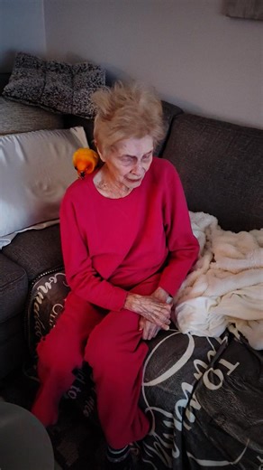 Kiwi Sure loves his Grandma. | Heidi Sunday
