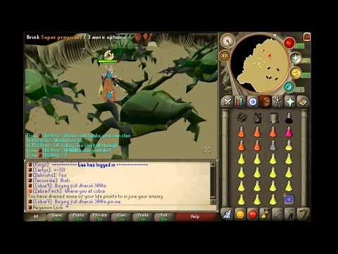 Kalphite Queen Guide